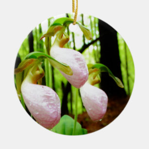 Rosa Dam Slipper vild Orchid Julgransprydnad Keramik