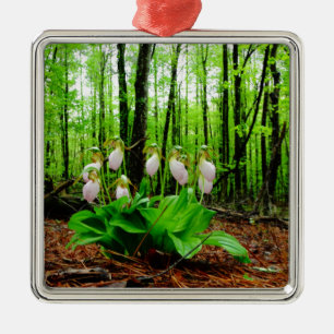 Rosa Dam Slipper vild Orchid Julgransprydnad Metall