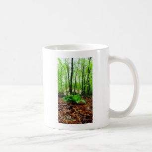 Rosa Dam Slipper vild Orchid Kaffemugg