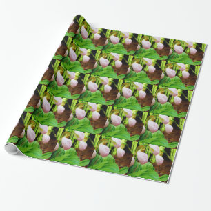 Rosa Dam Slipper vild Orchid Presentpapper
