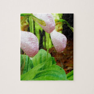 Rosa Dam Slipper vild Orchid Pussel
