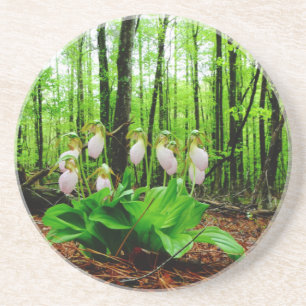Rosa Dam Slipper vild Orchid Underlägg