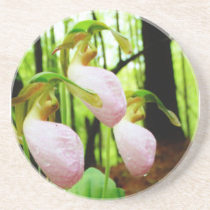 Rosa Dam Slipper vild Orchid Underlägg Sandsten