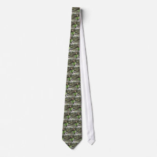 Rosa dam tochid slips