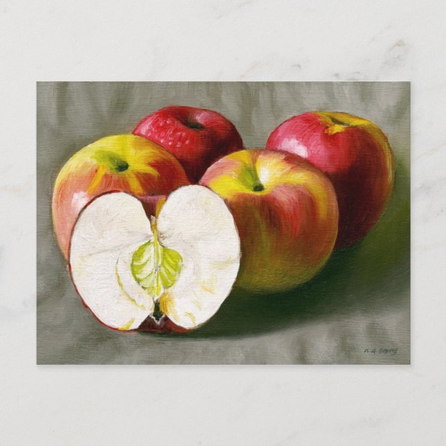 Rosa Dam Vykort (Framsida)