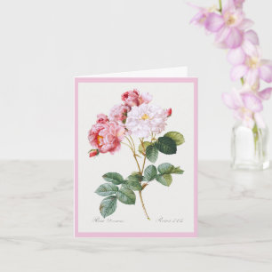 Rosa Damascena, Grattis på födelsedagen Kort