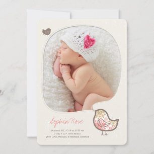 Rosa Damask Nyckfull Kyckling Baby Flicka Foto Föd Meddelande