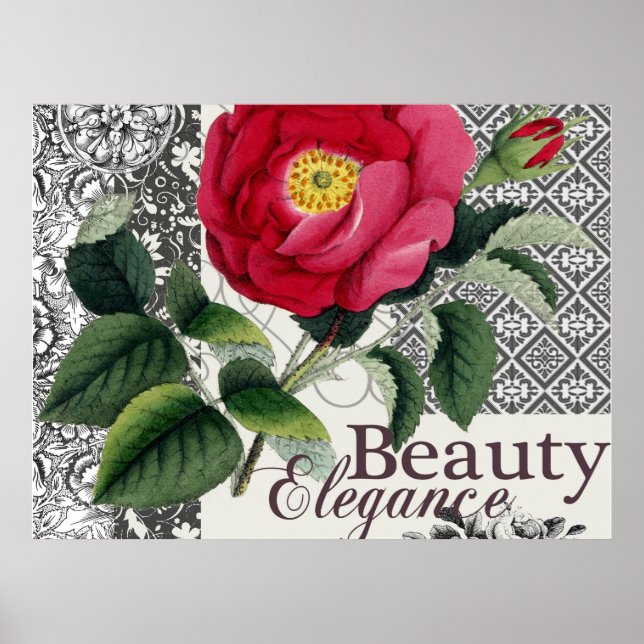 Rosa Damask Vacker Blommig Antik Poster (Framsidan)