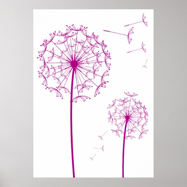 rosa dandelion poster (Framsidan)