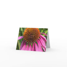 Rosa Day - Tack för dina kort