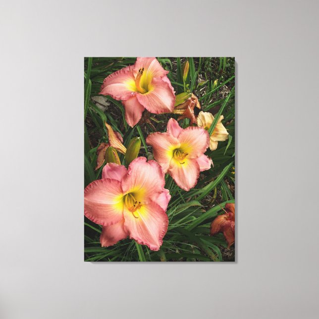 Rosa Daylilies Wrapped Canvas (Framsida)
