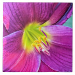 Rosa Daylily Bloom Blommigt Kakelplatta<br><div class="desc">Keramisk platta med den närliggande fotobilden av en djup rosa Daylily-blomma. En underbar,  blommigt design! Gör en söt köksbagge. Markera den keramiska plattan stil.</div>