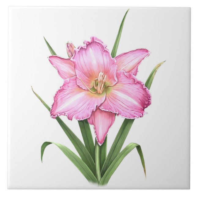 Rosa Daylily Flower Botanical Art Kakelplatta (Framsidan)