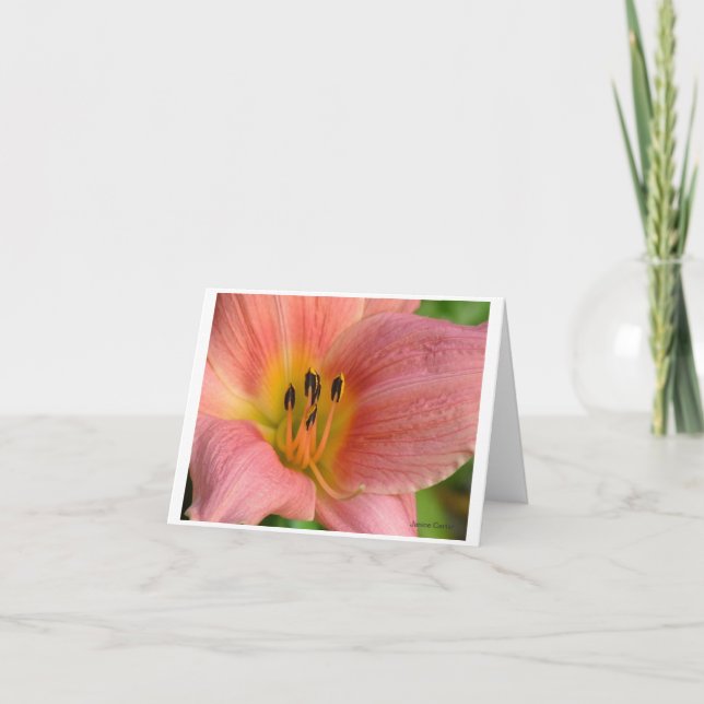 Rosa Daylily Kort (Framsida)