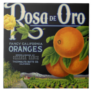 Rosa de Oro Orange Låda Kakelplatta