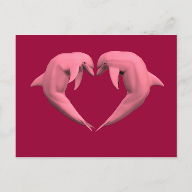 Rosa delfiner vykort (Framsida)