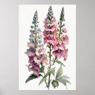 Rosa Delphinium Blomma Konsttryck Poster
