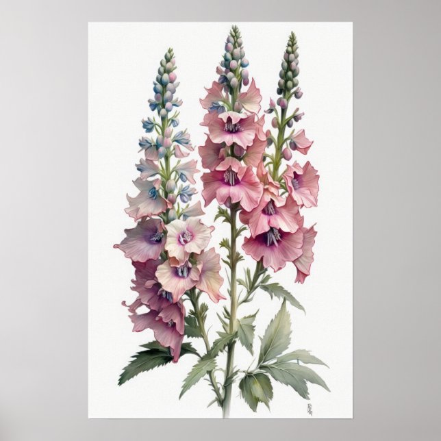 Rosa Delphinium Blomma Konsttryck Poster (Framsidan)