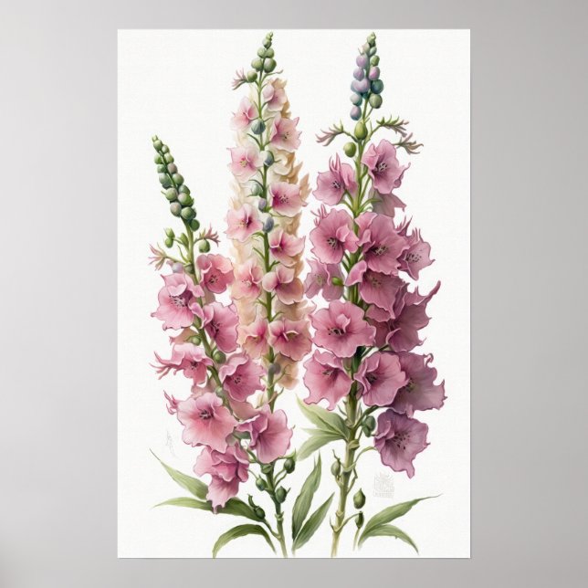 Rosa Delphinium Flower Art Print Poster (Framsidan)
