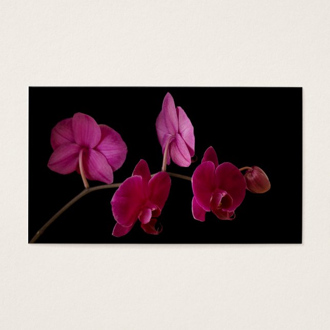 Rosa Dendrobium Orchid på svart - Anpassad Visitkort (Framsidan)
