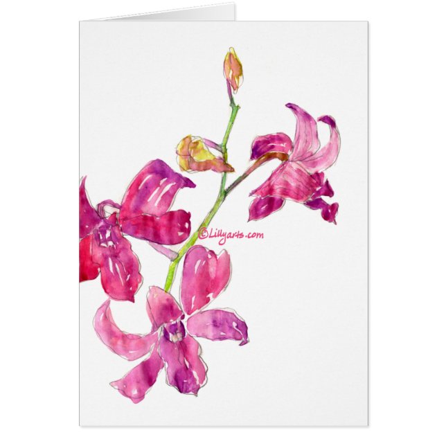 Rosa Dendrobium Orchids Watercolor Card Hälsningskort (Framsidan)
