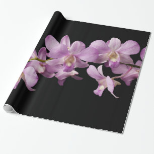 Rosa DendrobiumOrchidblomma - blom- Orchids Presentpapper