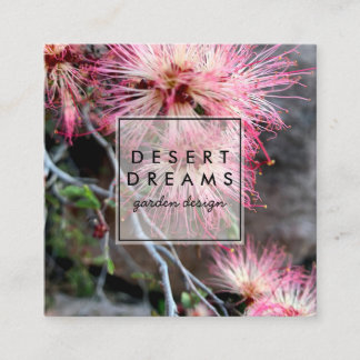 Rosa Desert Fairy Duster Wildblomfoto Travel Fyrkantigt Visitkort