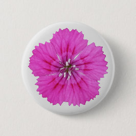 Rosa Dianthus Button Knapp