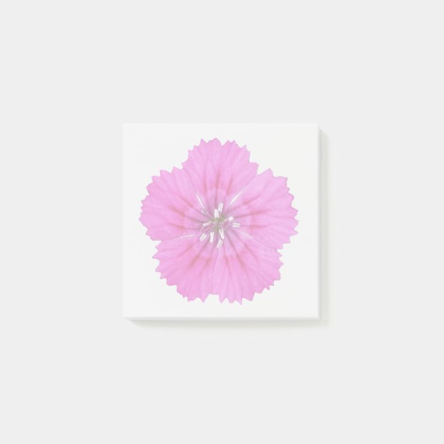 Rosa Dianthus-klibbiga lappar (Framsida)