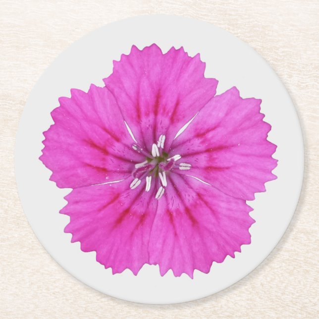 Rosa Dianthus Pappersunderlägg Underlägg Papper Rund (Framsidan)