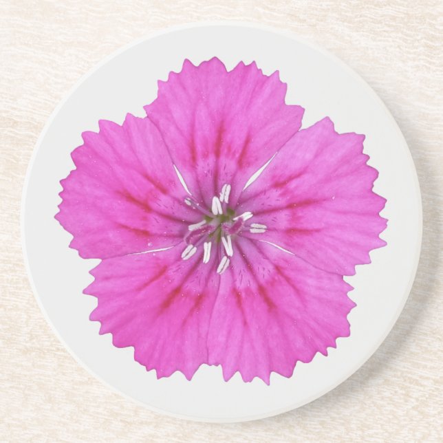 Rosa Dianthus Sandstensunderlägg Underlägg (Framsidan)