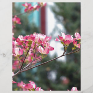 Rosa Dogwood