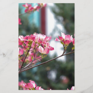 Rosa Dogwood
