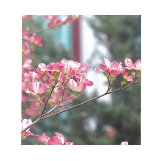 Rosa Dogwood Anteckningsblock (Framsida)