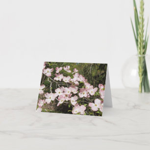 Rosa Dogwood Anteckningskort