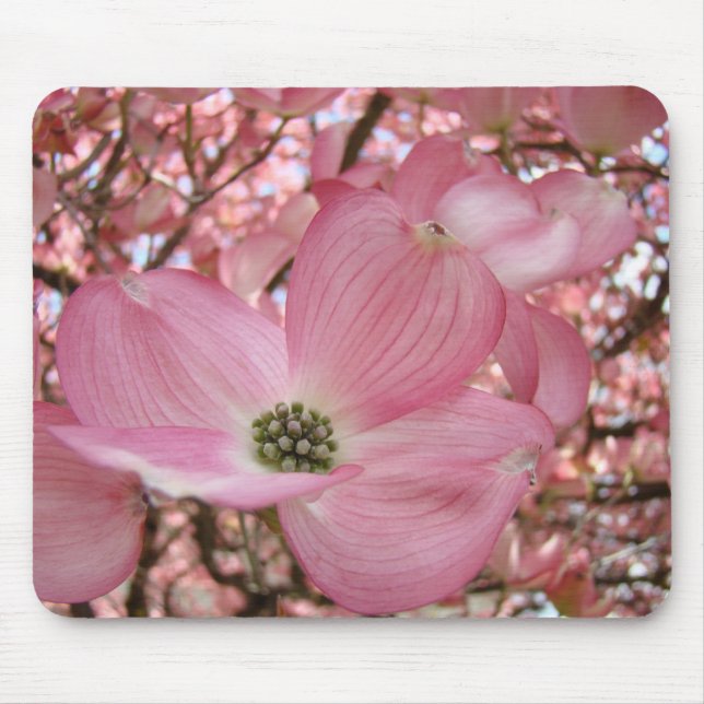Rosa DOGWOOD BLOMMAR MUS MATTOR MOUSEPAD Musmatta (Framsidan)