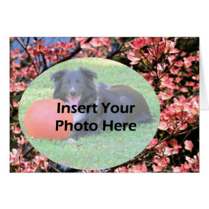 Rosa Dogwood Blommars Blommigt Photo Card Hälsningskort