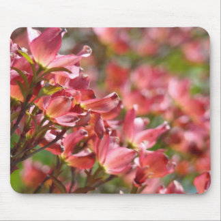 Rosa Dogwood Blommor Bröllopsgåvor anpassade Dogwo Musmatta