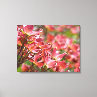 Rosa Dogwood Blommor konsttryck canvas Fotografi
