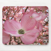Rosa DOGWOOD BLOMMOR MUSMATTOR MUSMATTA