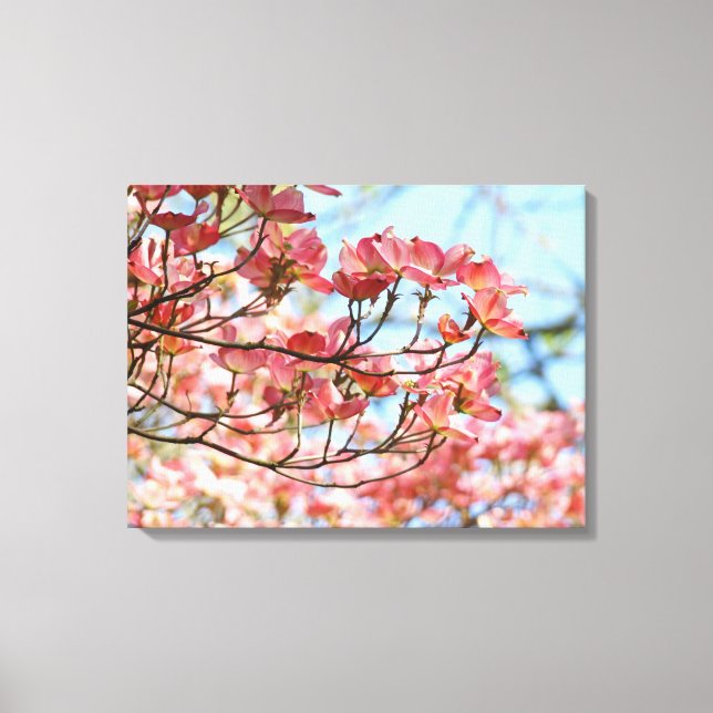 Rosa Dogwood Blommor Träd Blå Himmel canvas konst (Framsida)