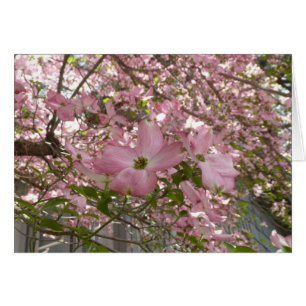 Rosa Dogwood Card - tomt kort