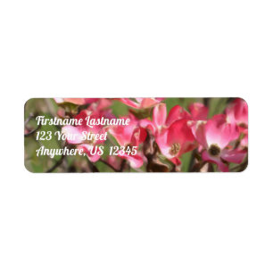 Rosa Dogwood Flower Blommars Painting Adress Returadress Etikett