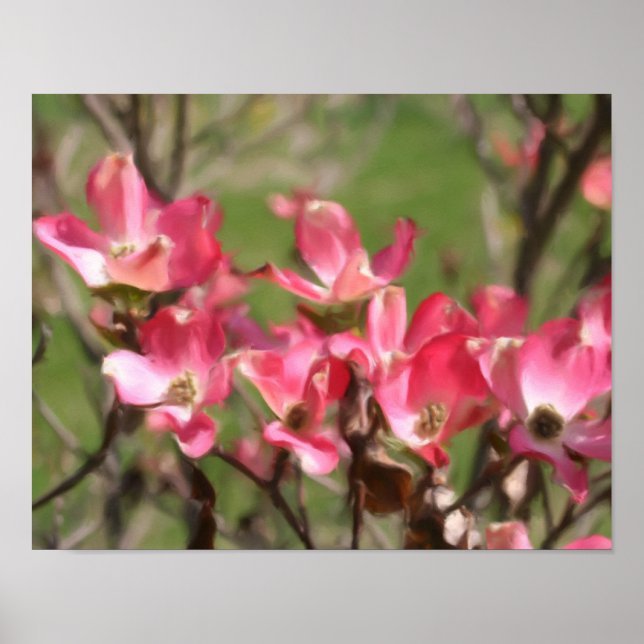 Rosa Dogwood Flower Blommars Photo Painting Poster (Framsidan)