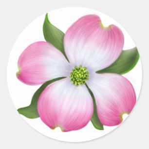 Rosa Dogwood Flower Runt Klistermärke