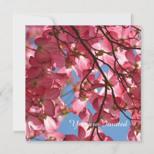 Rosa Dogwood Flowers Birthday Inbjudningar