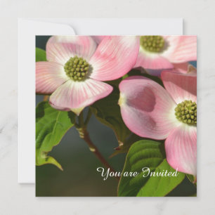 Rosa Dogwood Flowers Birthday Inbjudningar