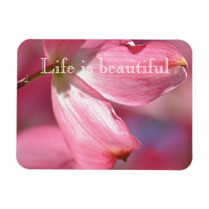 Rosa Dogwood Flowers Magnet