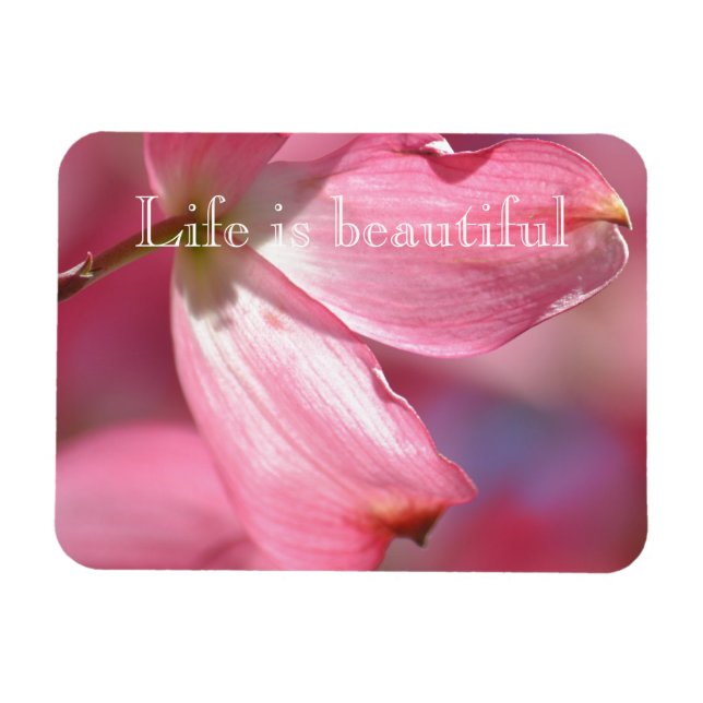 Rosa Dogwood Flowers Magnet (Horisontell)