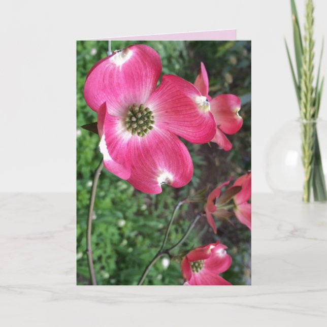 Rosa Dogwood Greeting Card Kort (Framsida)